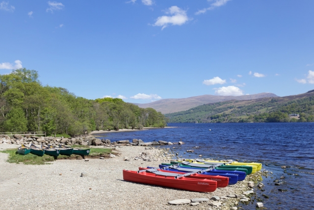  Diviértele en los días soleados 