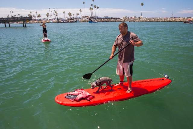  Hombre remando con su perro en una tabla roja 