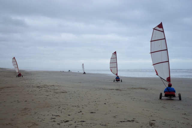  Aventuras únicas y diferentes 