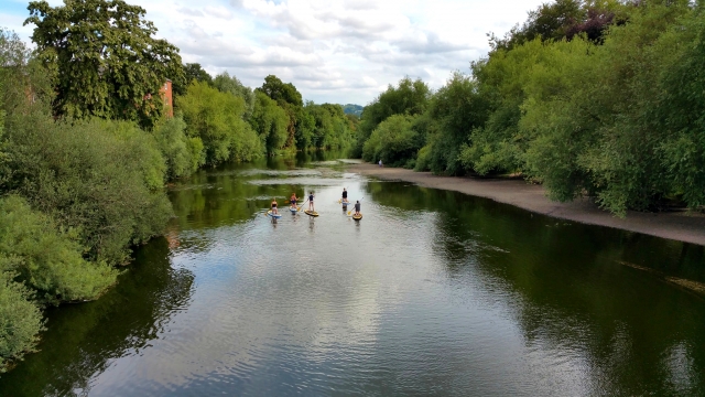  Disfruta de una aventura de remo 