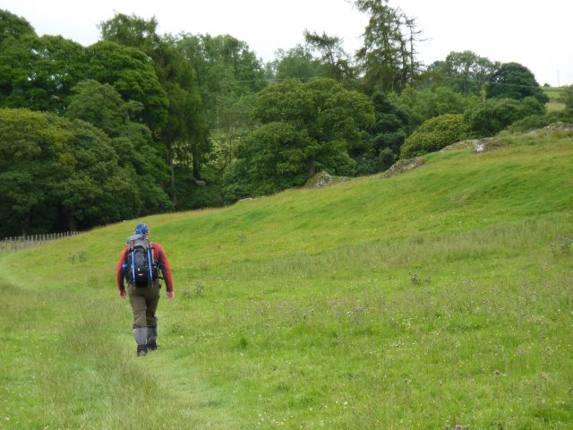  Adentrarse en el bosque