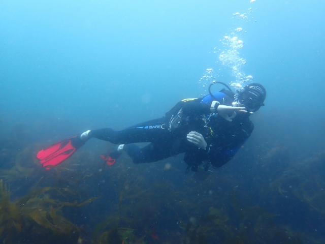  Explorando el océano 