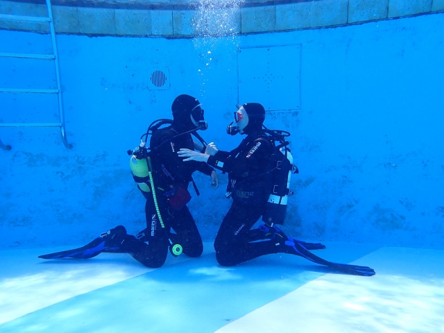  Principiantes completos son bienvenidos 