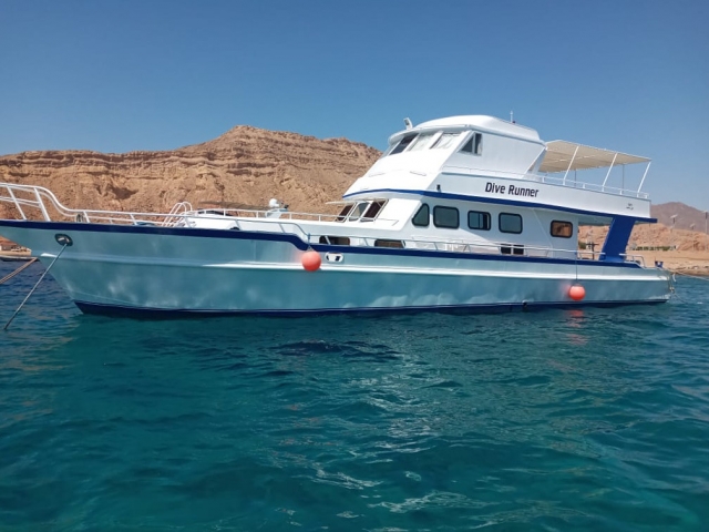 dive-runner-dive-holiday 