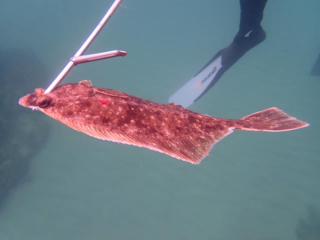  Aventuras en Plymouth 