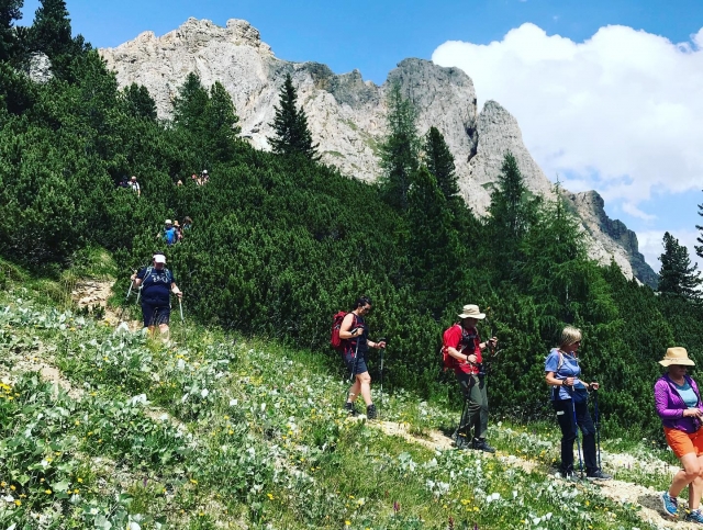  Venga y disfruta de esta aventura con tus amigos 