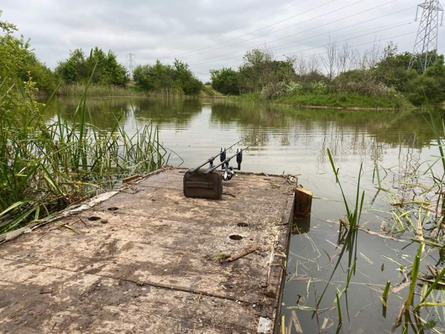  ¡Tiempo de pesca! 