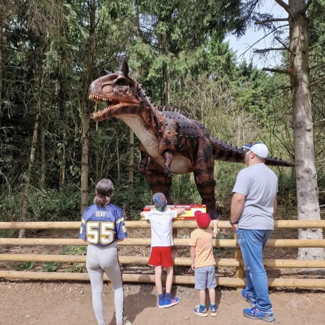  Dinasour House 