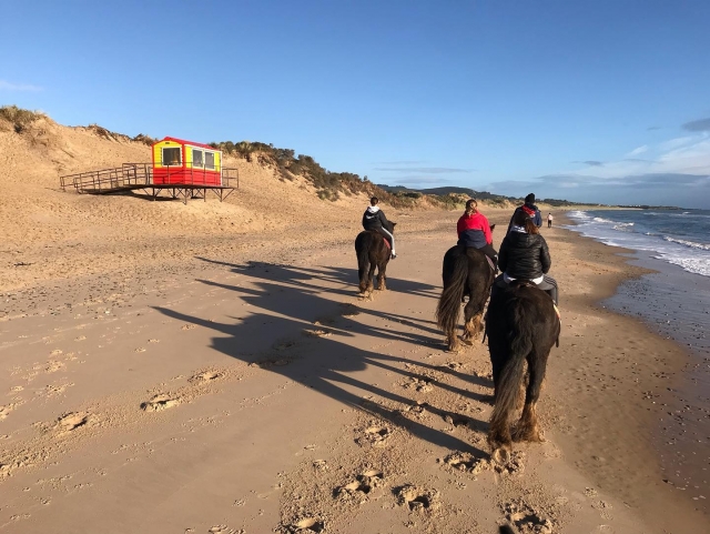  Disfruta de una experiencia a caballo con los suyos 