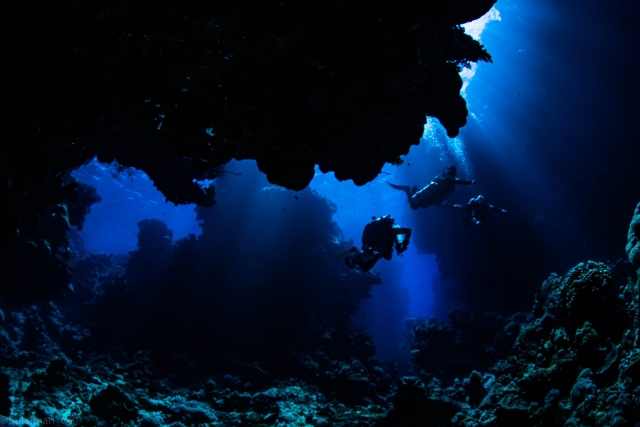  Explorando bajo el mar 