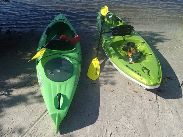  Toma un kayak y rema 