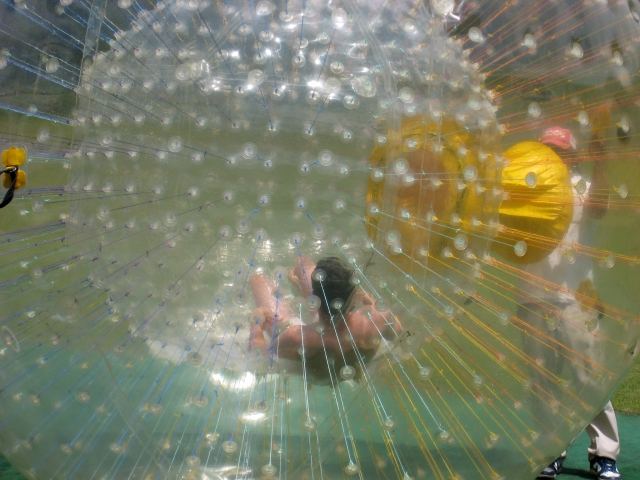  Actividades de Bristol 