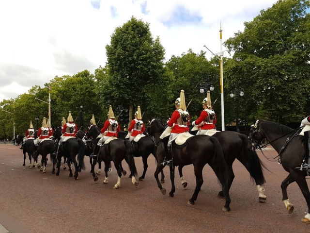  Guardias reales 