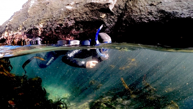  Experiencias de buceo libre 