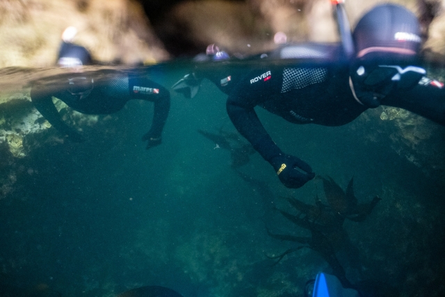  Vive su aventura con nosotros ahora