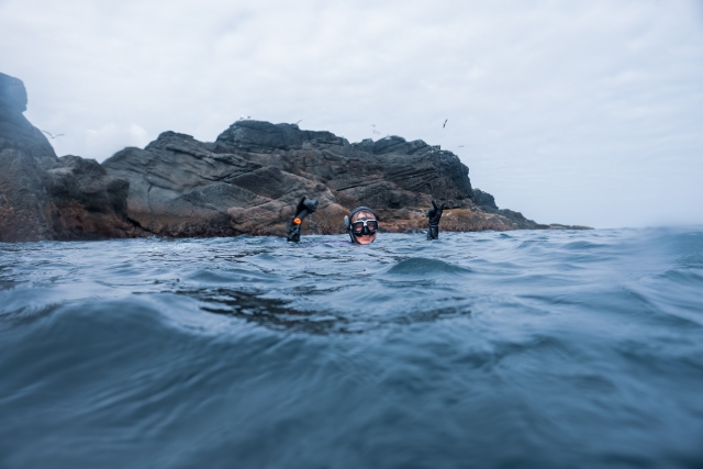  Una dosis única de adrenalina 