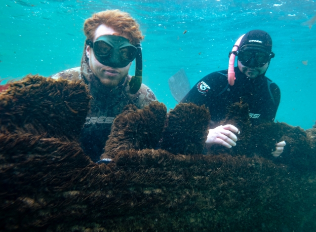  Explora Irlanda del Norle desde una perspectiva única 