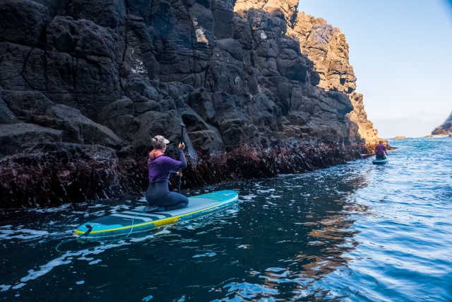  Desconexión de la realidad 