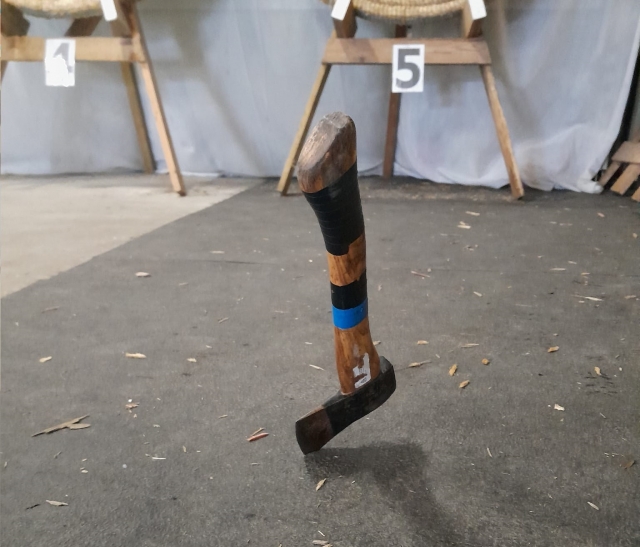  Tendrás el mejor entrenamiento 