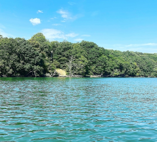  Impresionantes vistas al río 