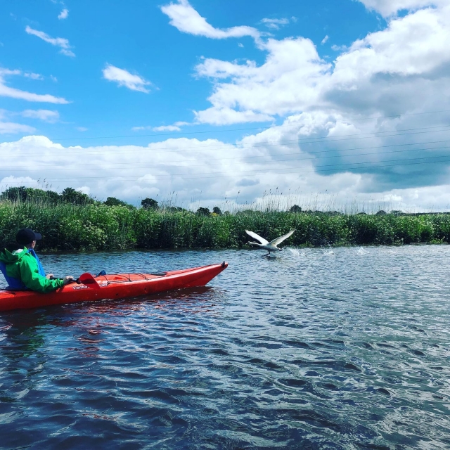  Kayak es divertido y relajanle 