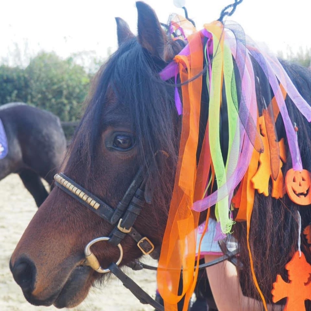 Pony fiestero disfrazado 