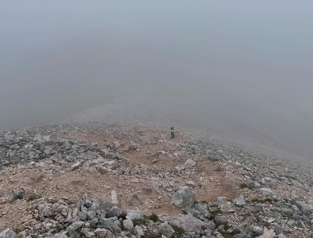  Explore la belleza escondida 