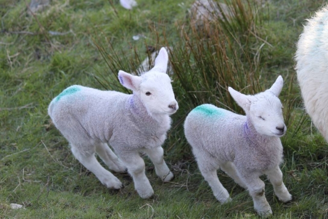  Conociendo a los isleños 