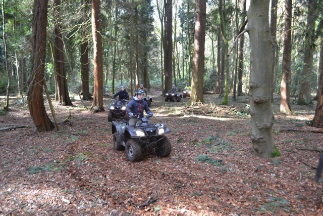  Venga con tus amigos 