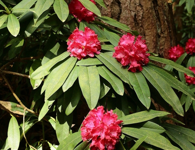  Un día al aire libre