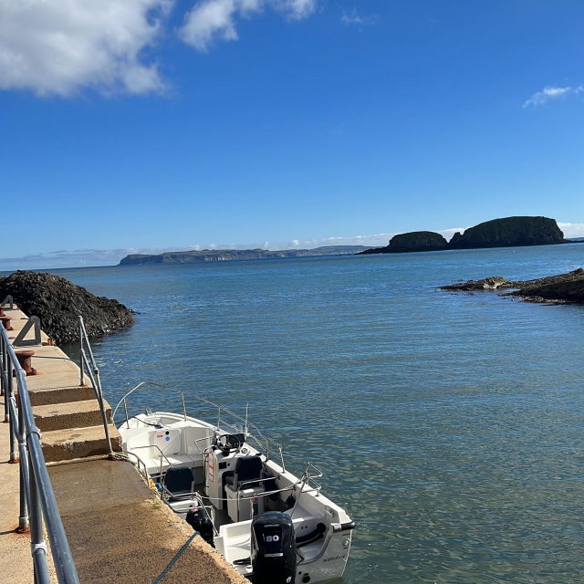  Embárquese en un divertido paseo en barco por la costa con nosotros 
