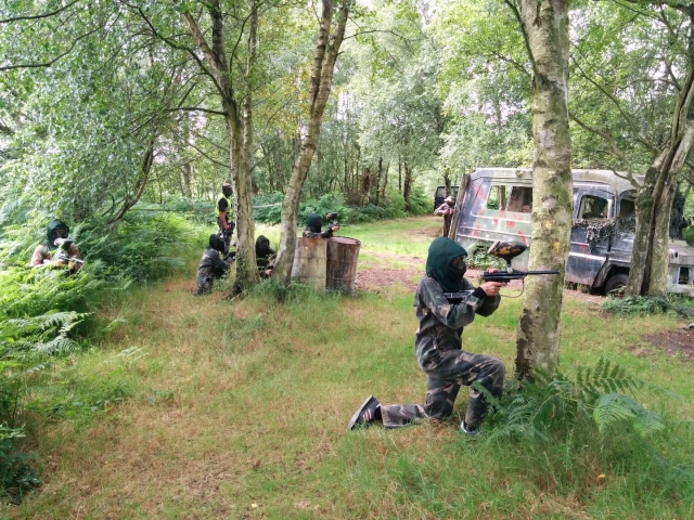  Gotcha en el bosque 