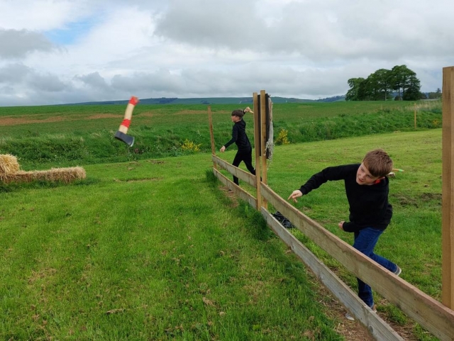  Haga volar las hachas 