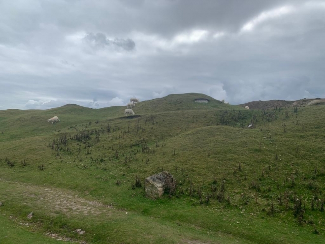  Camicrema por colinas y montañas