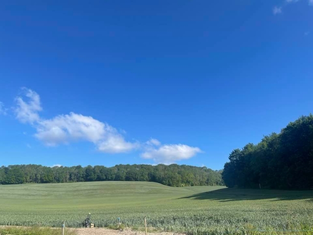  Cielos abiertos sobre el campo de jalo 