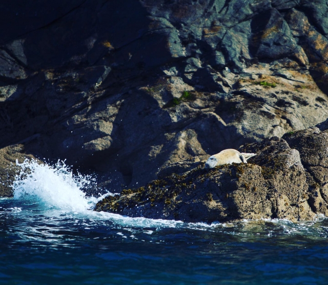  La costa norle de Cornualles 
