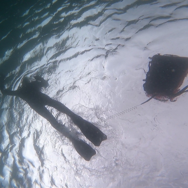  Snorkel en Escocia 