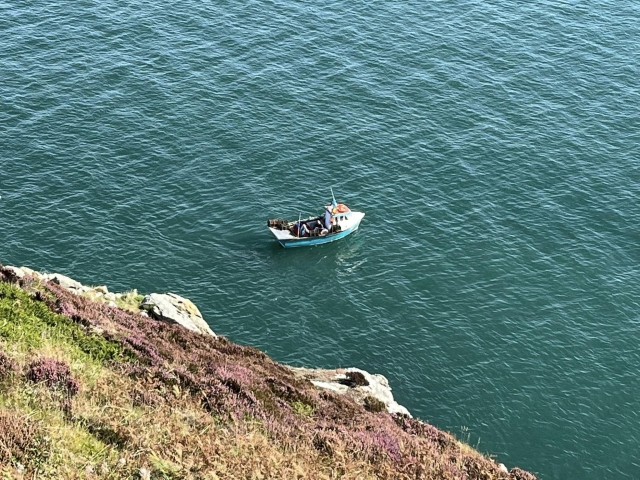  Pbaños en barco en Dublín 