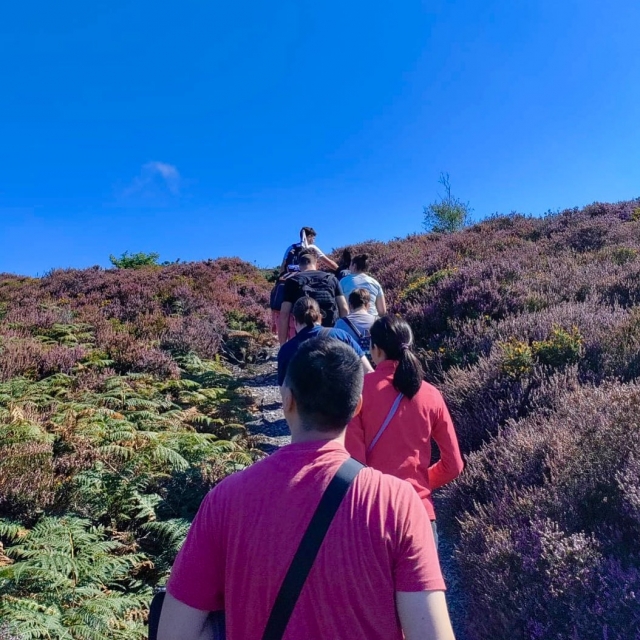  Únele a nuestros tours 