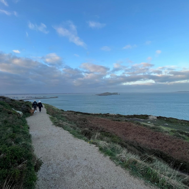  Expediciones de camicrema en Irlanda 