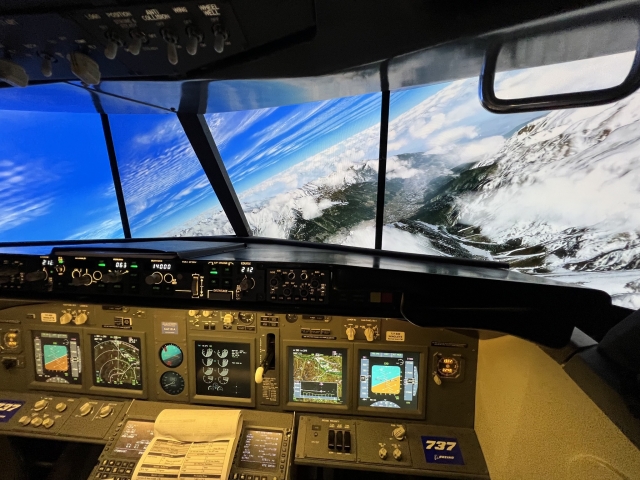  Una experiencia de vuelo realista 
