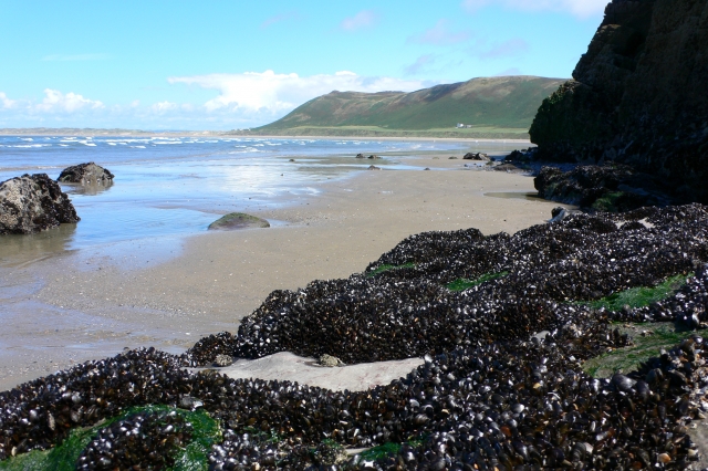  Península de Gower 