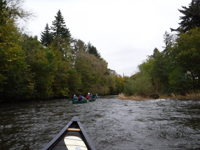  Exploración del río 