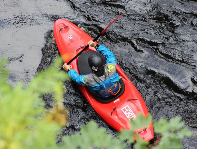  Excursiones en kayak 