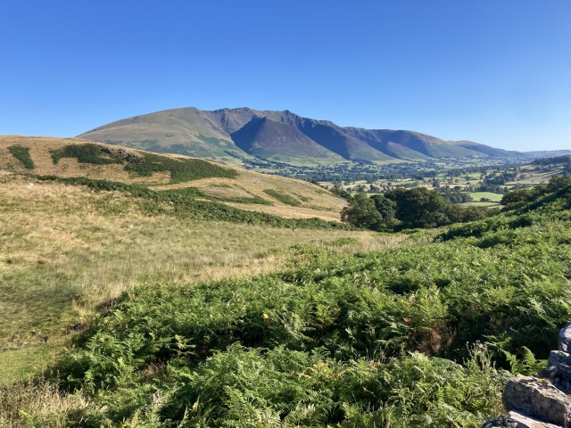  Paisajes de la Región de los Lagos 
