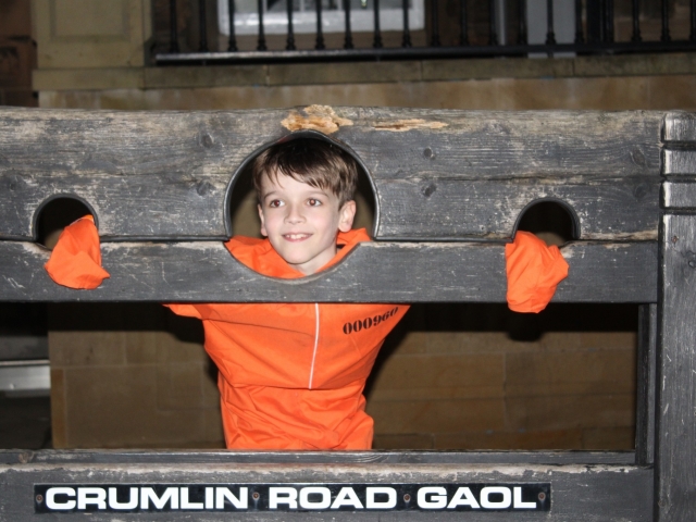  Muestras interactiva 