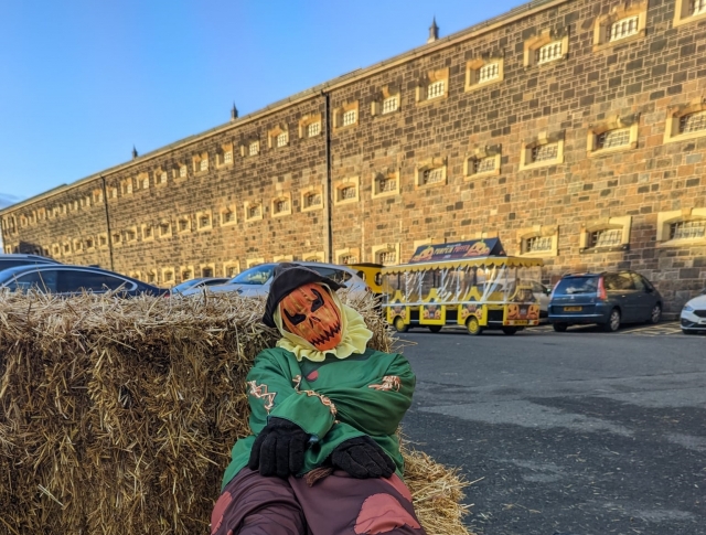  Programas de temporada 