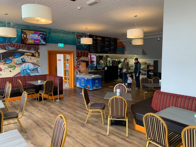  Café del acuario 
