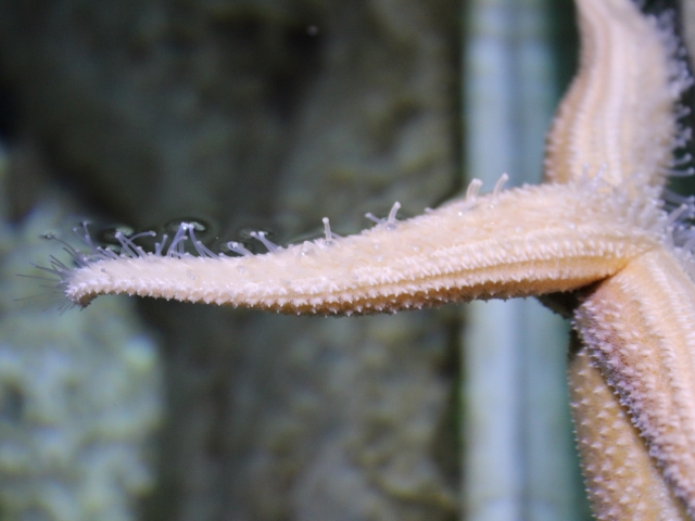  Descubra las maravillas del océano