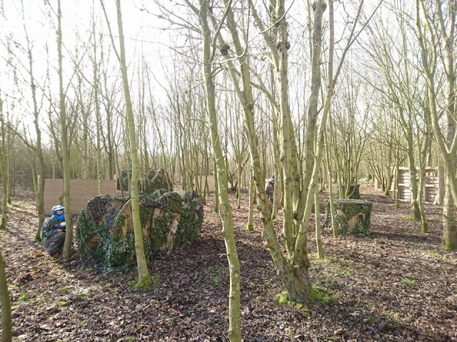  Woodland gotcha 